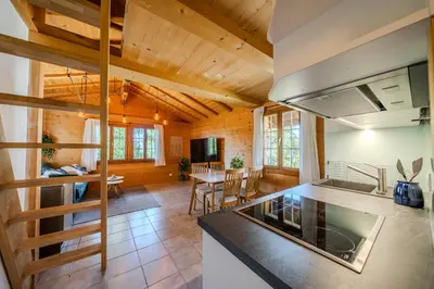 TV/Unterhaltungsangebot in der Unterkunft Mountain Apartment - Hot Tub & Sunset Views