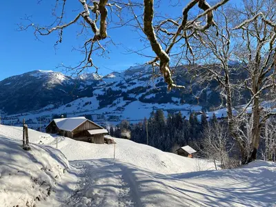 Ferienhaus Schönenmatte im Winter
