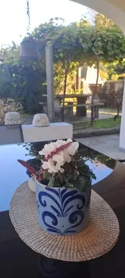 Ein Garten an der Unterkunft Casa Camelia