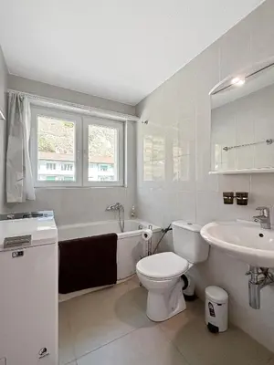 Ein Badezimmer in der Unterkunft Casa Alps Sion - Swiss Alps