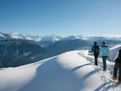Apartment Faucon 1B by Interhome im Winter