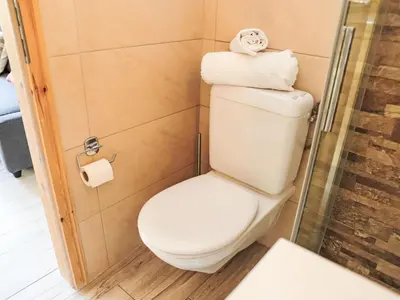 Ein Badezimmer in der Unterkunft Apartment Rosablanche C32 by Interhome
