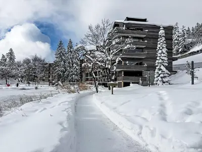Apartment Central Parc 2 by Interhome im Winter