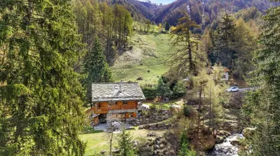 Naturlandschaft in der Nähe der Ferienwohnung