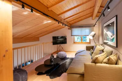 TV/Unterhaltungsangebot in der Unterkunft Chalet Gutsch Andermatt by HomeFlow