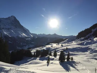 Chalet Wieseli im Winter