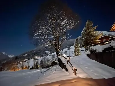 Chalet Wieseli im Winter