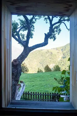Naturlandschaft in der Nähe der Ferienwohnung