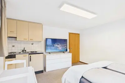 TV/Unterhaltungsangebot in der Unterkunft Comfortable studio near Saas-Fee ideal for couples