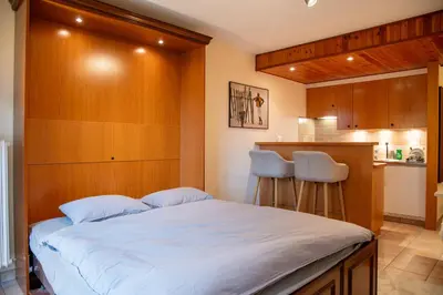 Ein Bett oder Betten in einem Zimmer der Unterkunft Pied de piste et à 5min des Bains d'Hérémence