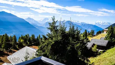 Naturlandschaft in der Nähe der Ferienwohnung