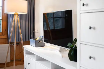 TV/Unterhaltungsangebot in der Unterkunft Apartment Steini since 1574