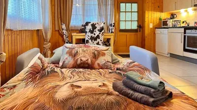 Küche/Küchenzeile in der Unterkunft Gemütliche 2-Zimmer Wohnung mir Bergblick