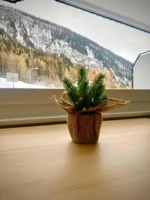 Ein allgemeiner Bergblick oder ein Berglick von der Ferienwohnung aus