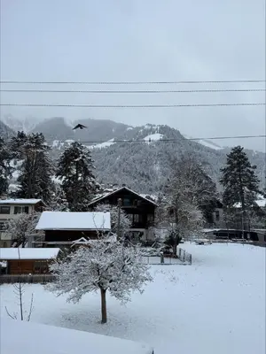 zentrale Ferienwohnungen in Frutigen im Winter