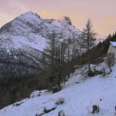 Apartment Waldhotel Fletschhorn Saas-Fee by Interhome