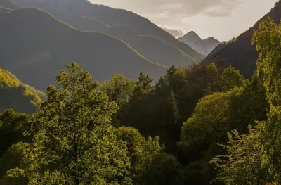 Naturlandschaft in der Nähe der Ferienwohnung