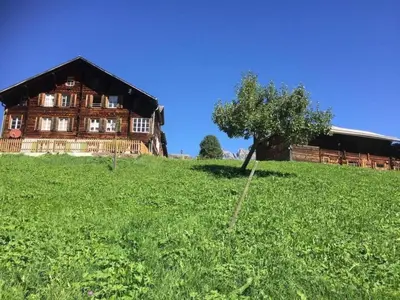 Ein Garten an der Unterkunft Apartment Chalet an ruhiger Lage mit schöner Bergsicht by Interhome