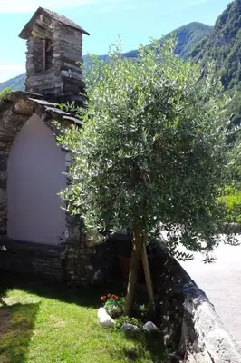 Ein allgemeiner Bergblick oder ein Berglick von der Ferienwohnung aus