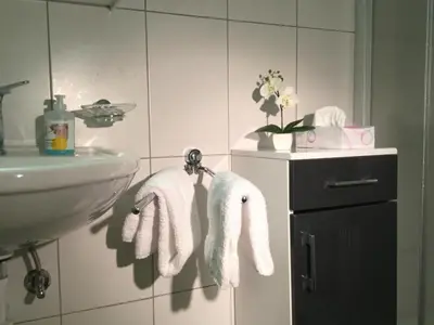 Grundriss der Unterkunft Apartment Haus Mondelli by Interhome