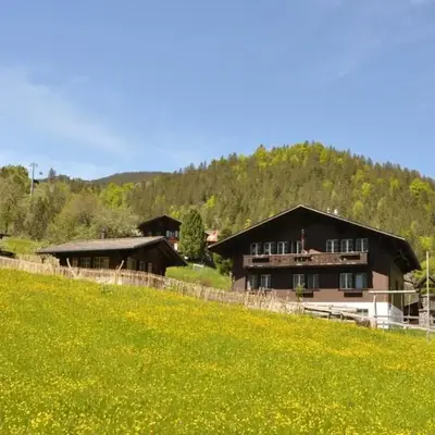 Apartment im Chalet Adelheid by Interhome
