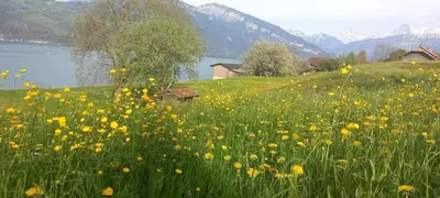 Naturlandschaft in der Nähe der Ferienwohnung