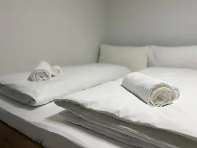 Ein Bett oder Betten in einem Zimmer der Unterkunft Thunersee View Studio