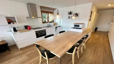 Küche/Küchenzeile in der Unterkunft Superbe appartement avec 2 chambres avec vue imprenable sur les Alpes
