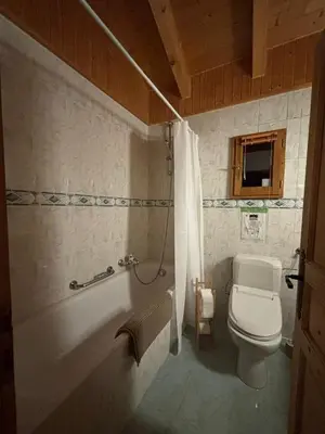 Ein Badezimmer in der Unterkunft Chalet Les Epilobes, Zinal