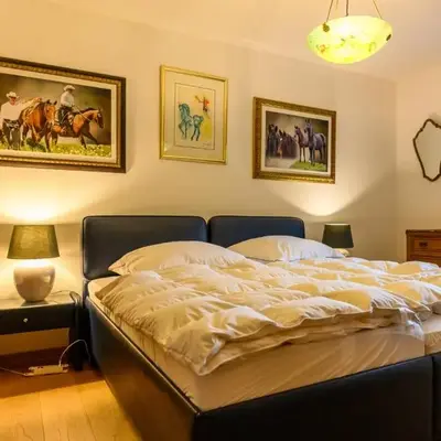Résidence Lisaride à Evolène - appartement spacieux et lumineux avec vue