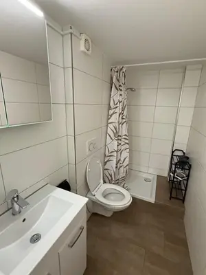 Ein Badezimmer in der Unterkunft Ferienwohnung Happy Life 2 Near Interlaken Thun