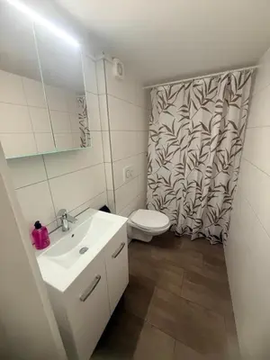 Ein Badezimmer in der Unterkunft Ferienwohnung Happy Life 2 Near Interlaken Thun