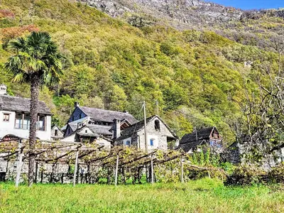 Naturlandschaft in der Nähe des Ferienhauses