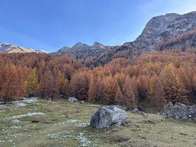 Naturlandschaft in der Nähe der Ferienwohnung