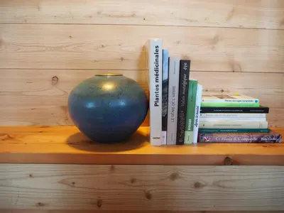 Die Bibliothek im Ferienhaus