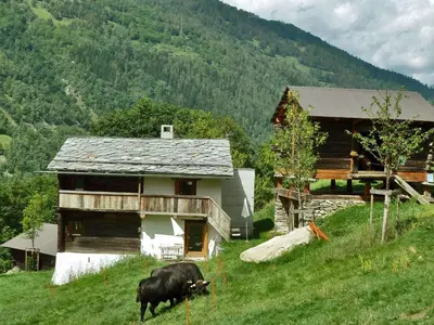 Naturlandschaft in der Nähe der Ferienwohnung