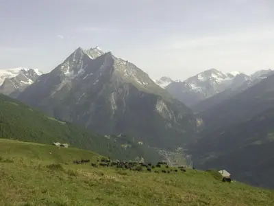 Naturlandschaft in der Nähe des Ferienhauses