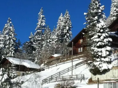 Apartment Chalet Silberdistel B11 by Interhome im Winter