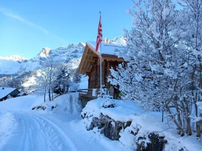 Apartment Alpen Vista by Interhome im Winter
