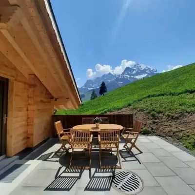 Apartment Alpen Vista by Interhome