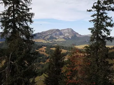 Naturlandschaft in der Nähe der Ferienwohnung