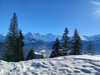 Naturlandschaft in der Nähe der Ferienwohnung