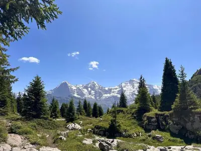 Naturlandschaft in der Nähe der Ferienwohnung