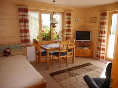 TV/Unterhaltungsangebot in der Unterkunft Apartment Chalet Birkli by Interhome