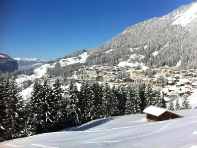 Apartment Chalet Birkli by Interhome im Winter