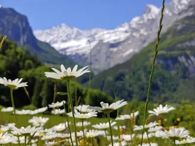 Naturlandschaft in der Nähe der Ferienwohnung