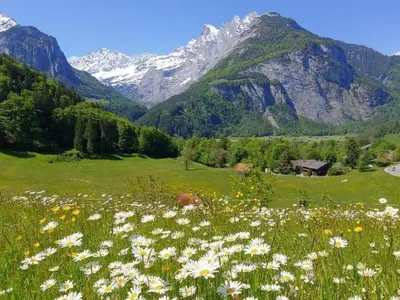 Naturlandschaft in der Nähe des Ferienhauses