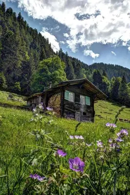 Naturlandschaft in der Nähe des Ferienhauses