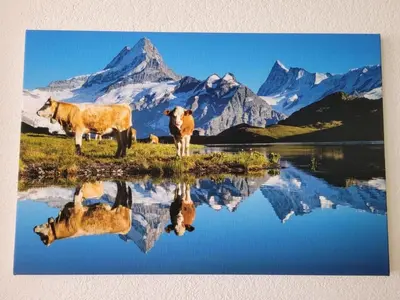 Naturlandschaft in der Nähe der Ferienwohnung