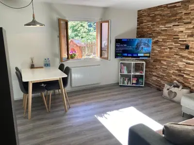 TV/Unterhaltungsangebot in der Unterkunft Apartment Morgengruss by Interhome
